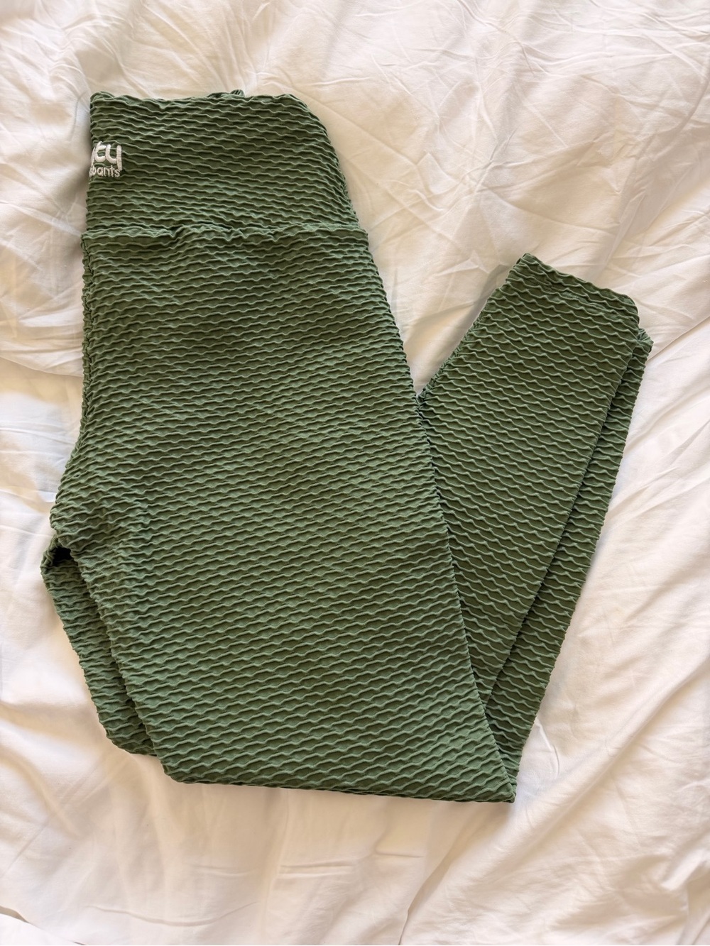 Booty by Brabants BBB Croco Skin Leggings Curvy Plus in Sage Full Length